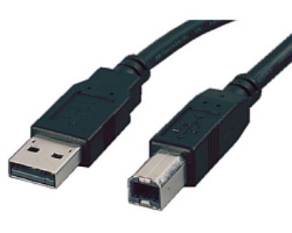 Slika USB 2.0 TIP A-B M/M 3.0 m, Roline, bež