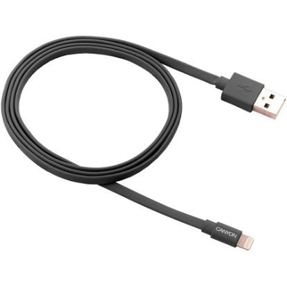 Slika USB 2.0 TIP A-Lightning M/M,  1.0 m, Canyon CNS-MFIC2DG Dark Gray