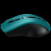Slika CANYON CNE-CMSW05G Green