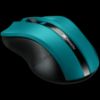 Slika CANYON CNE-CMSW05G Green